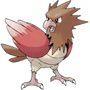 Spearow