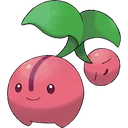Cherubi
