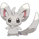 Minccino