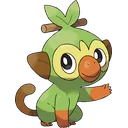 Grookey