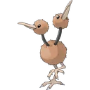 Doduo